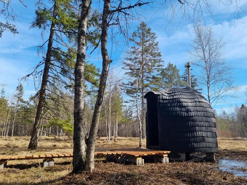 Sambliku Treehouse Villa Jogisoo Eksteriør bilde