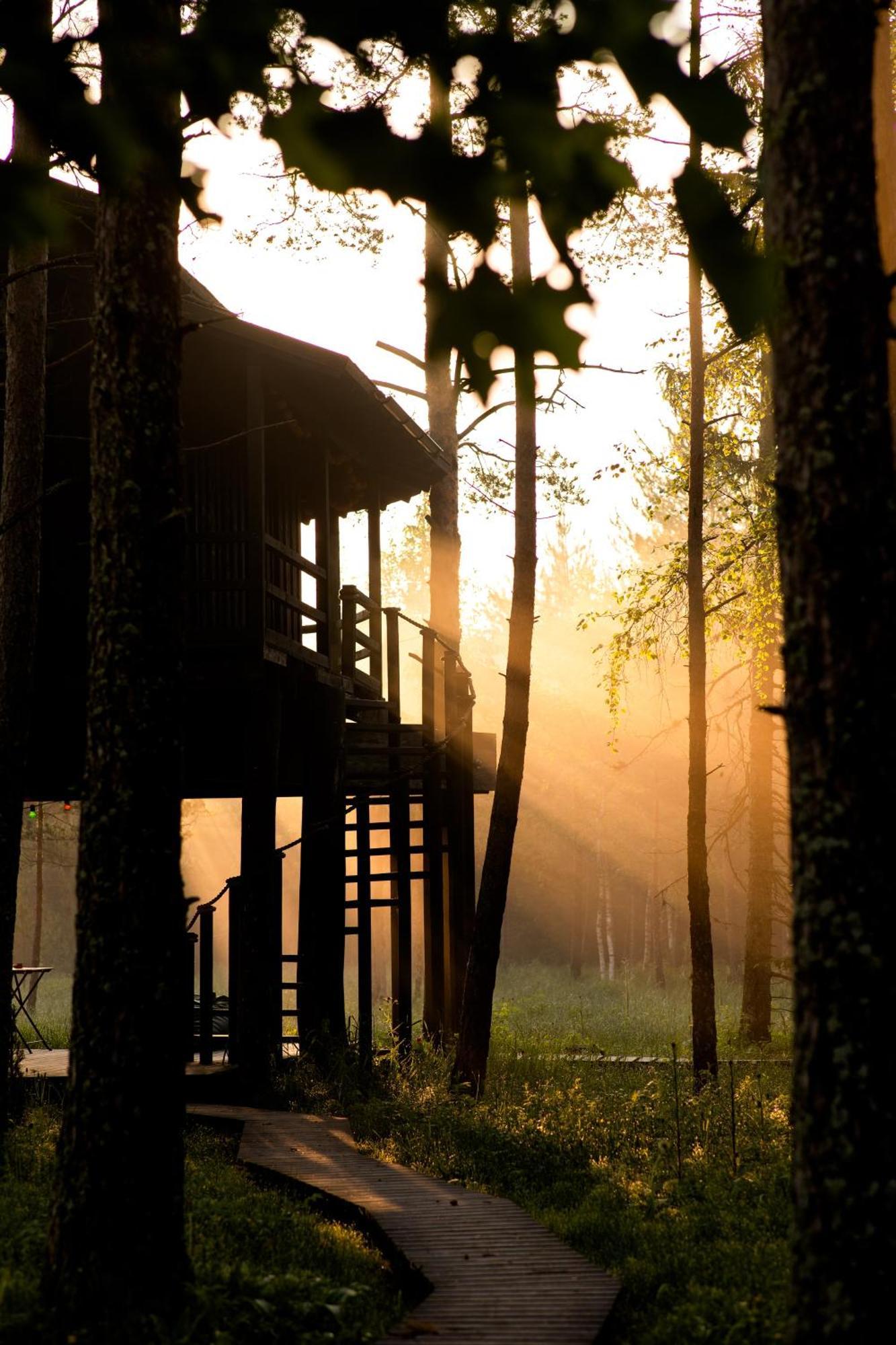 Sambliku Treehouse Villa Jogisoo Eksteriør bilde