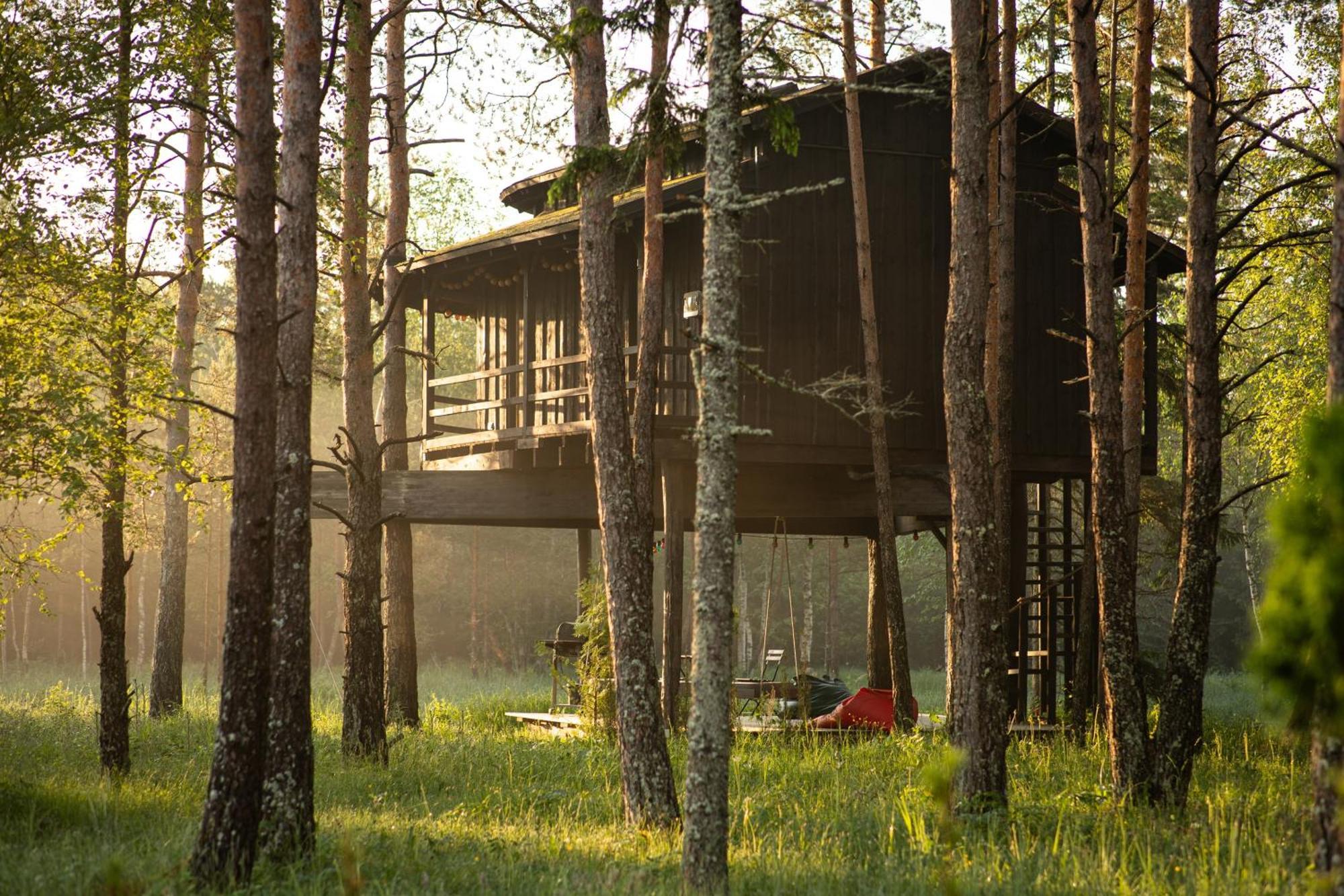 Sambliku Treehouse Villa Jogisoo Eksteriør bilde